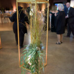 Decorative plant arrangement at formal event venue